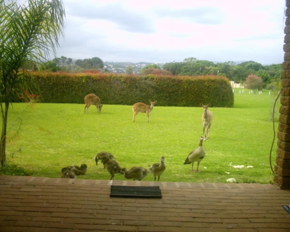 Brenton Lake Holiday Cottages Exterior foto